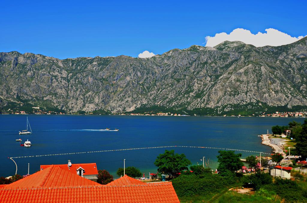 Apartments Scorpio Kotor Quarto foto